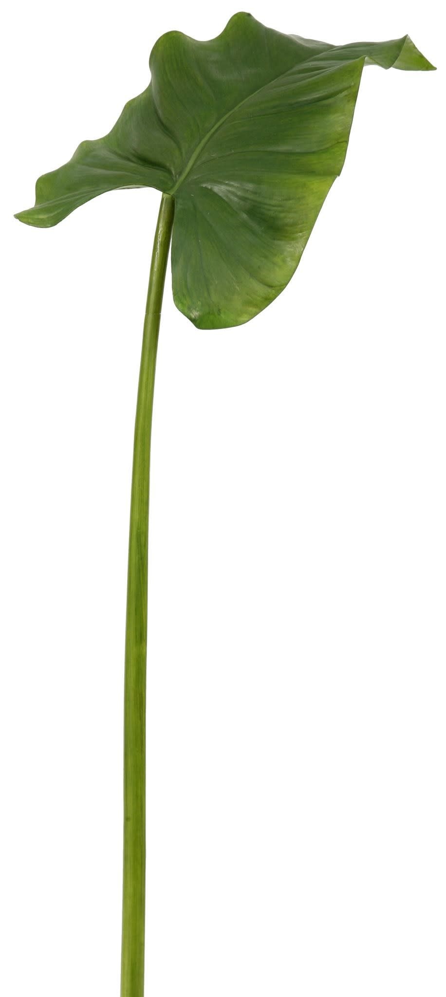 Calla Leaf Medium 41''