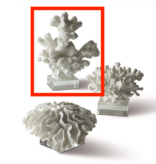 LG Coral Sculpture  Assorted   Cold Cast Porcelain/Glass
