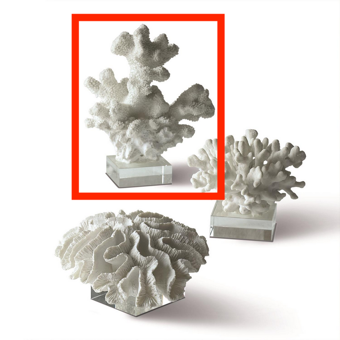 LG Coral Sculpture  Assorted   Cold Cast Porcelain/Glass