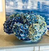 Hydrangea in Long Life Bowl-DRKBL/BL/LBL