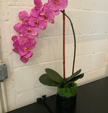 Large Phalaenopsis Orchid in 6" Cylinder Vase-Faux Water (Lavender Orchid)