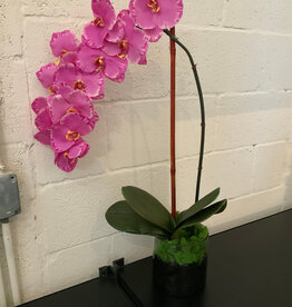 Large Phalaenopsis Orchid in 6" Cylinder Vase-Faux Water (Lavender Orchid)