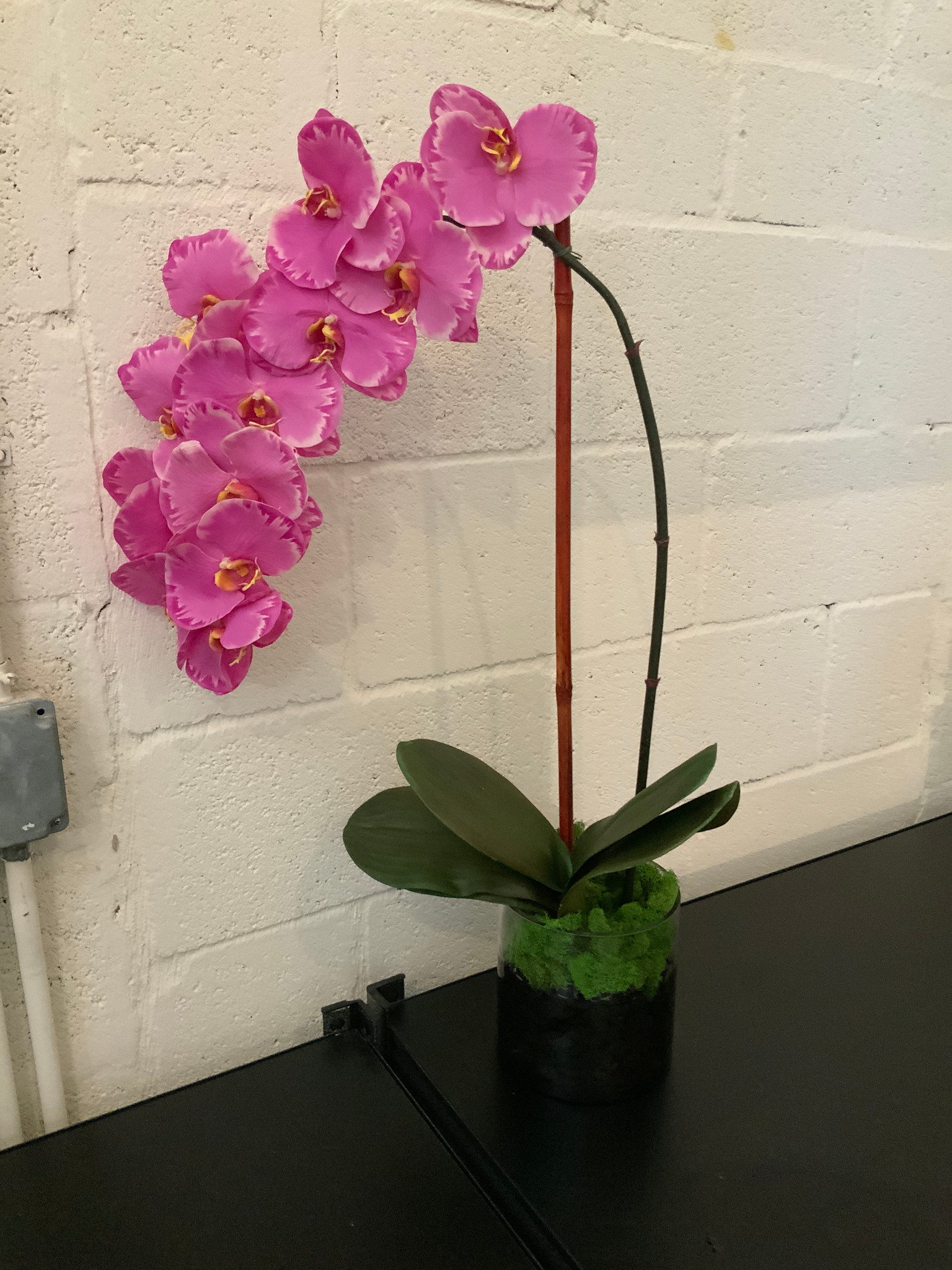 Large Phalaenopsis Orchid in 6" Cylinder Vase-Faux Water (Lavender Orchid)