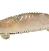 Clam Dish Shell 7"x4"x1.2"