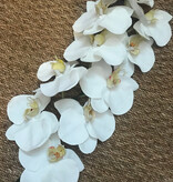 22" Phalaenopsis Orchid Spray (White)