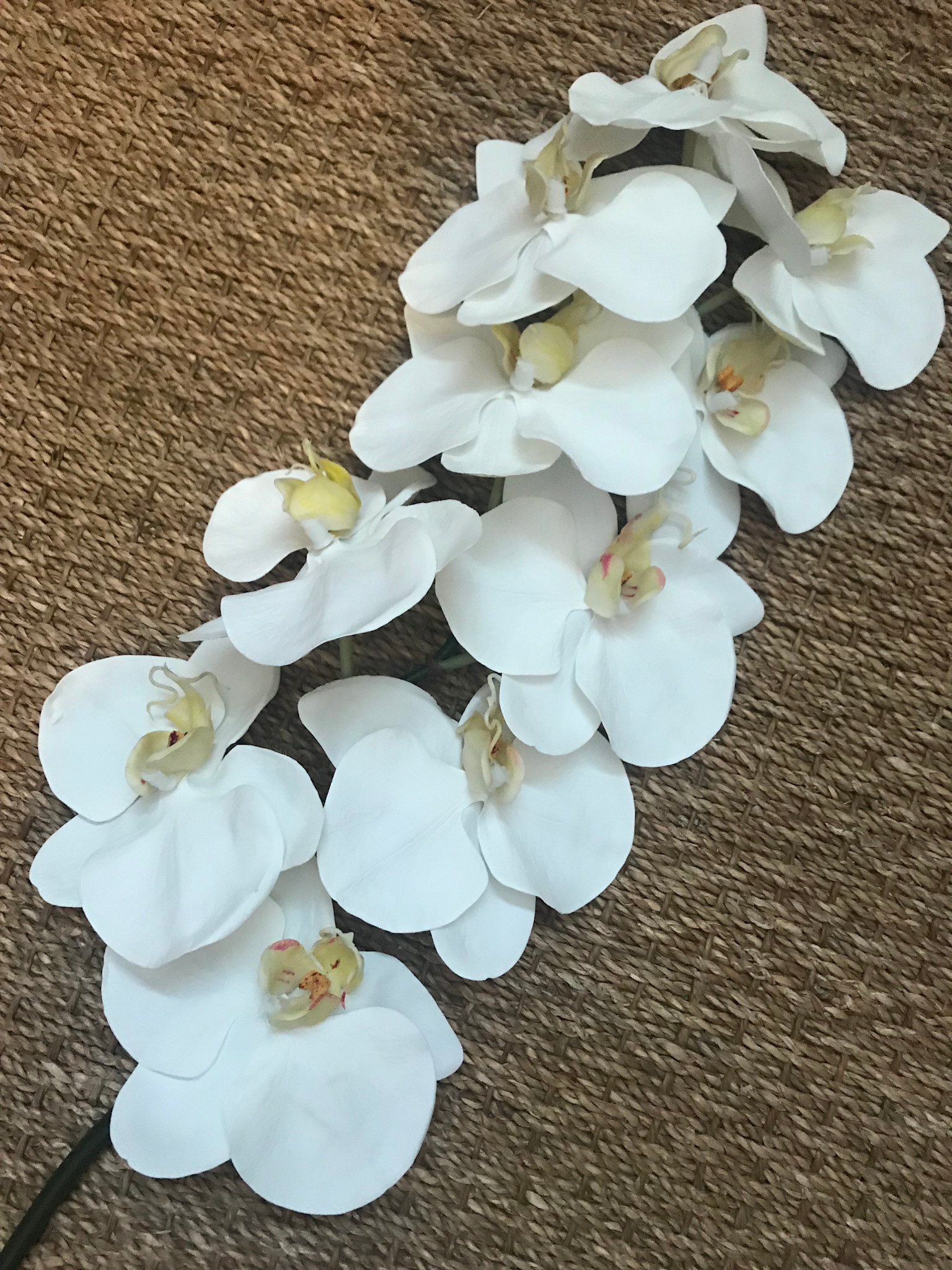 22" Phalaenopsis Orchid Spray (White)