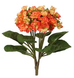 Mini Kalanchoe Bush 12'' (Orange)