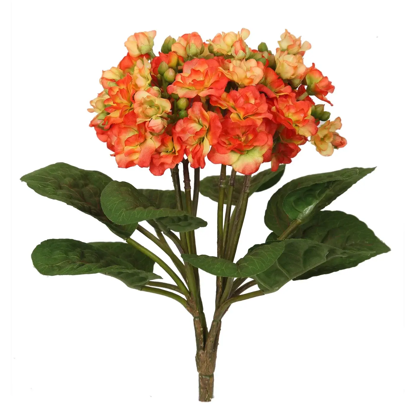 Mini Kalanchoe Bush 12'' (Orange)