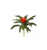 Bromeliad 14"-Orange Green