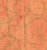 Gilded Majolica Coral  Guest