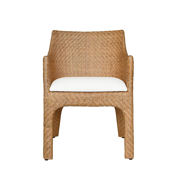 NOELLE DINING CHAIR 25" W X 34" H X 25" D