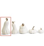 White Pumpkins with Gold Stem VLG