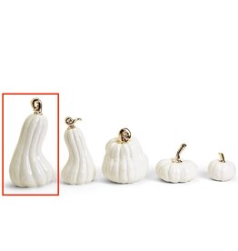 White Pumpkins with Gold Stem VLG