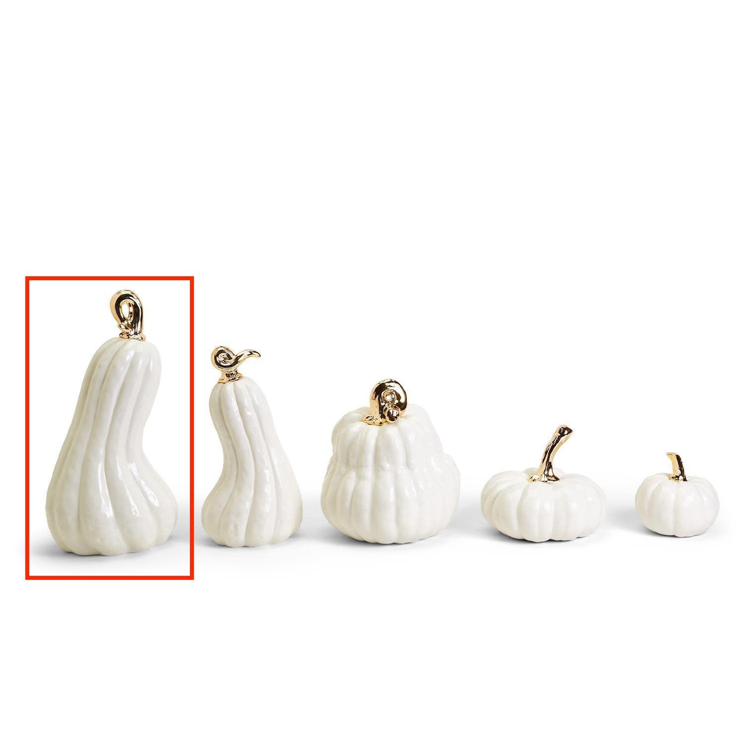White Pumpkins with Gold Stem VLG