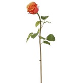 Rose Dutchess Bud, S 19.5" Peach Red