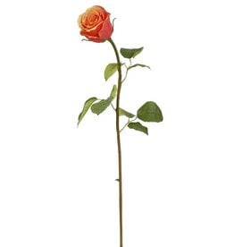 Rose Dutchess Bud, S 19.5" Peach Red