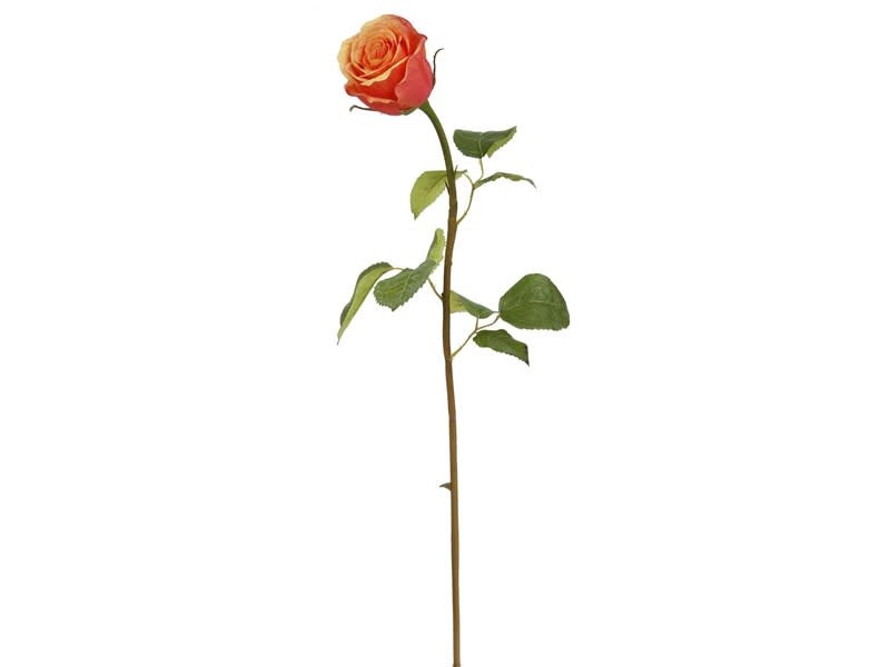 Rose Dutchess Bud, S 19.5" Peach Red