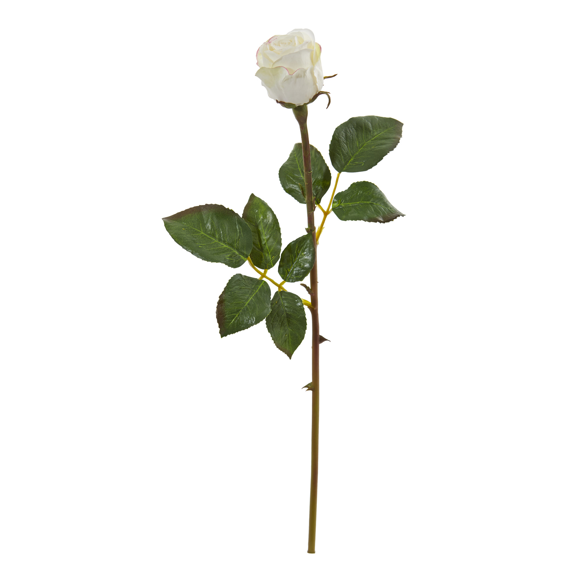 19.5” Rose Bud Bloom-White