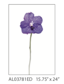 Flower on Acrylic 4 - 16"W x 24"H