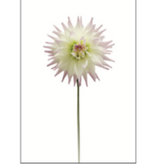 Flower on Acrylic 8 - 16"W x 24"H