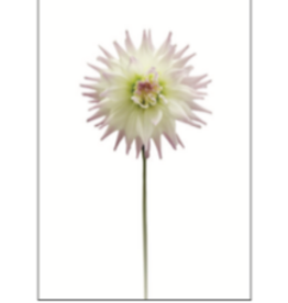 Flower on Acrylic 8 - 16"W x 24"H