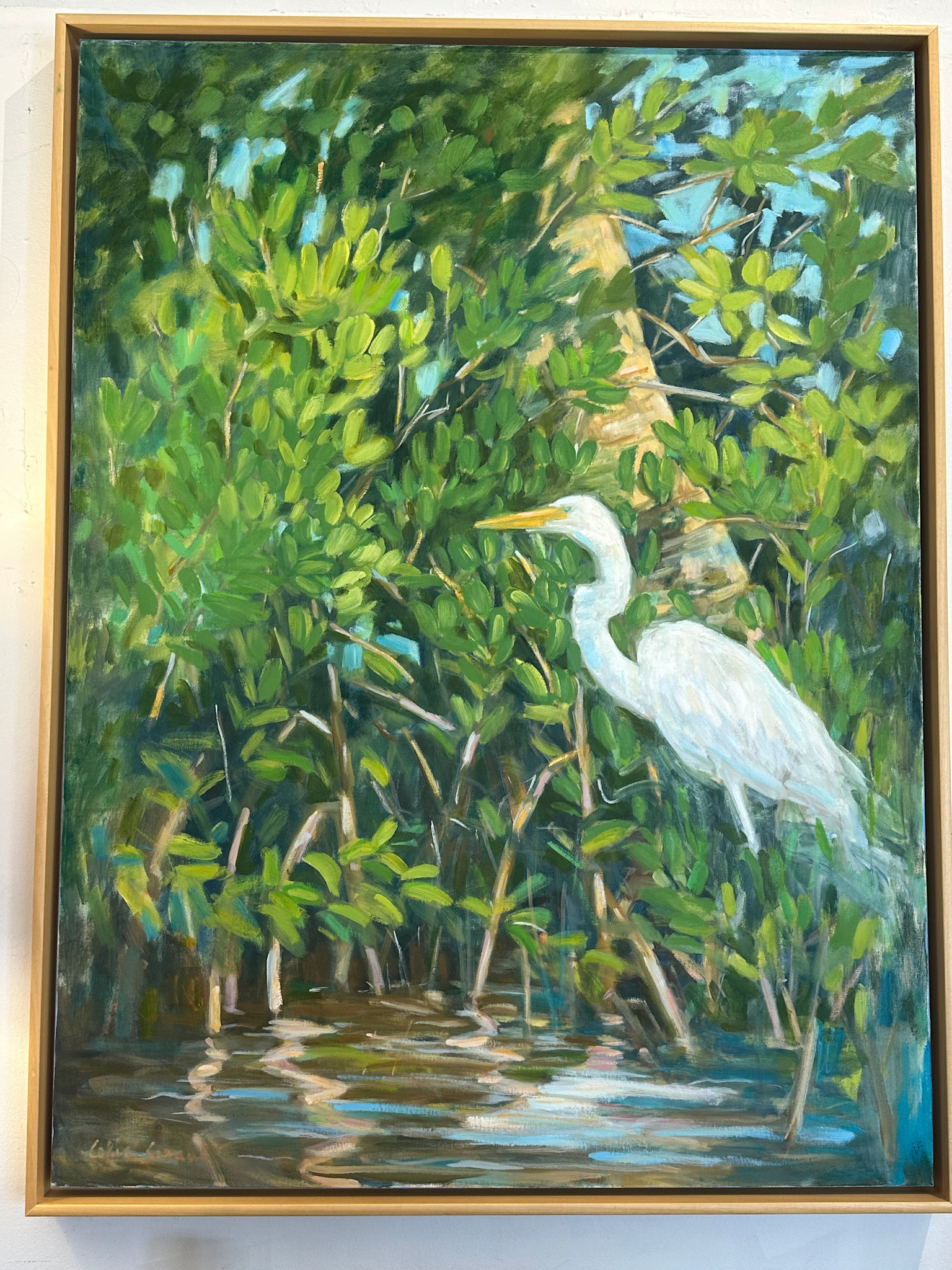 Entering the Mangroves  36x48 Oil on canvas