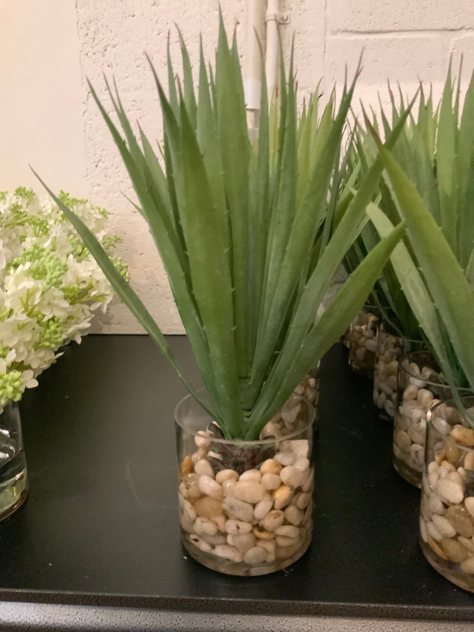 Aloe in 4" Cylinder-Faux Water/Stones (Green)
