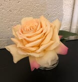 Medium Rose Bloom in 3" Cylinder-Faux Water (YLGO)