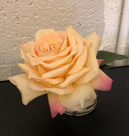 Medium Rose Bloom in 3" Cylinder-Faux Water (YLGO)