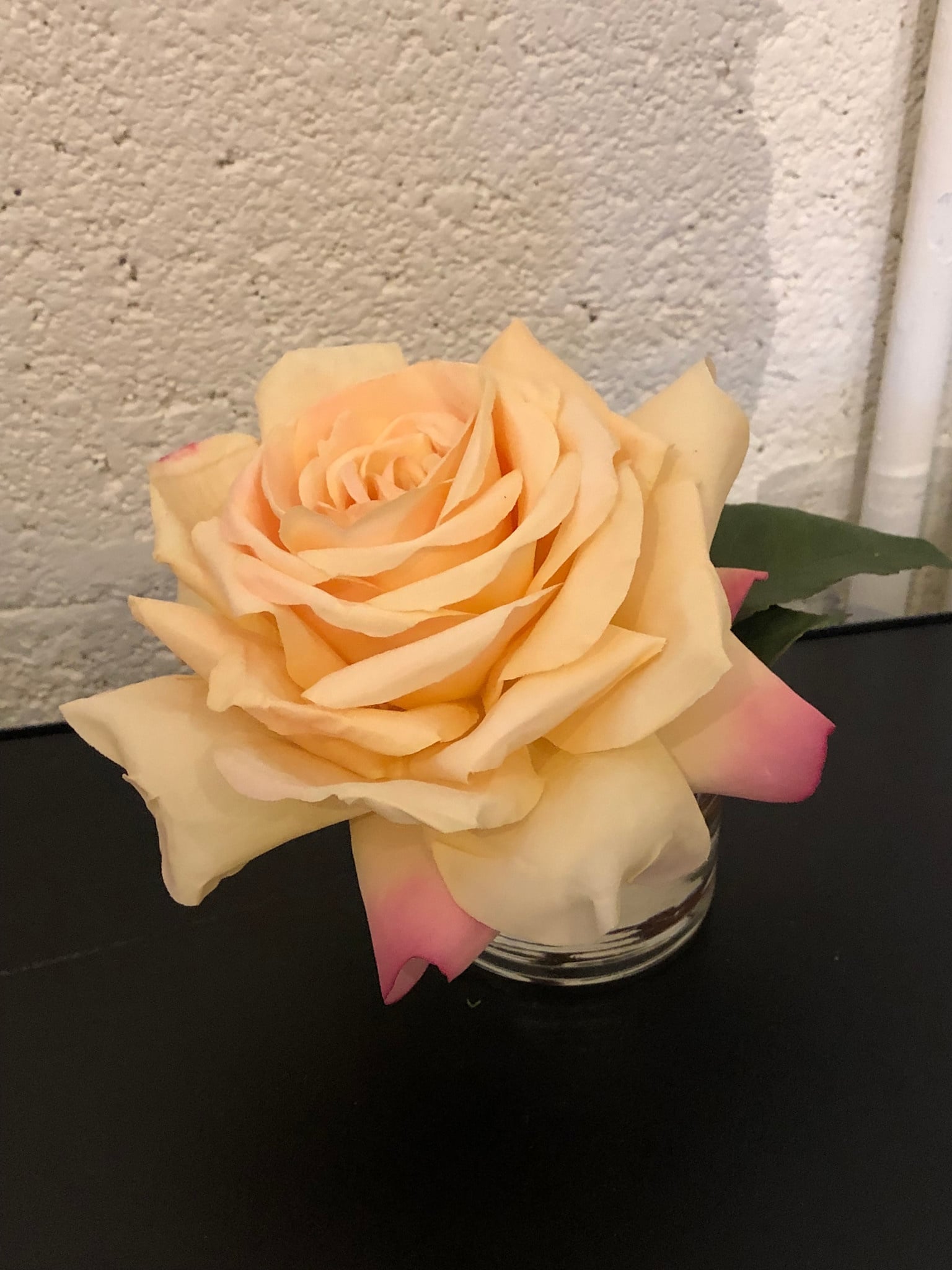 Medium Rose Bloom in 3" Cylinder-Faux Water (YLGO)