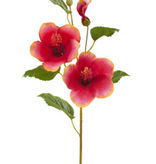 Hibiscus Flower - Red Gold