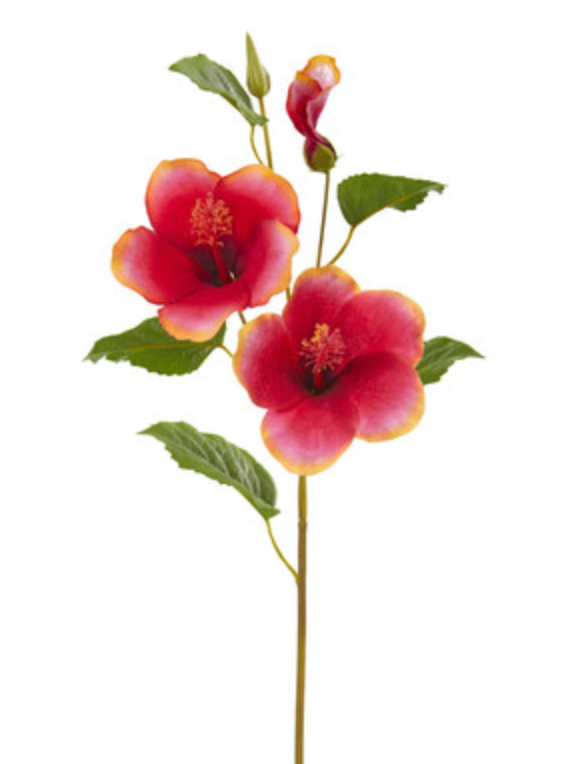 Hibiscus Flower - Red Gold
