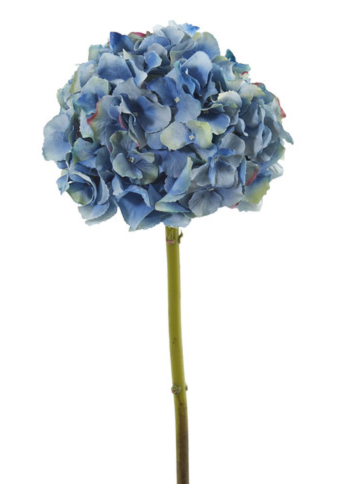 Hydrangea 18.5” - Blue