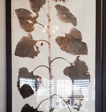 Single Sunflower 33''x 72"