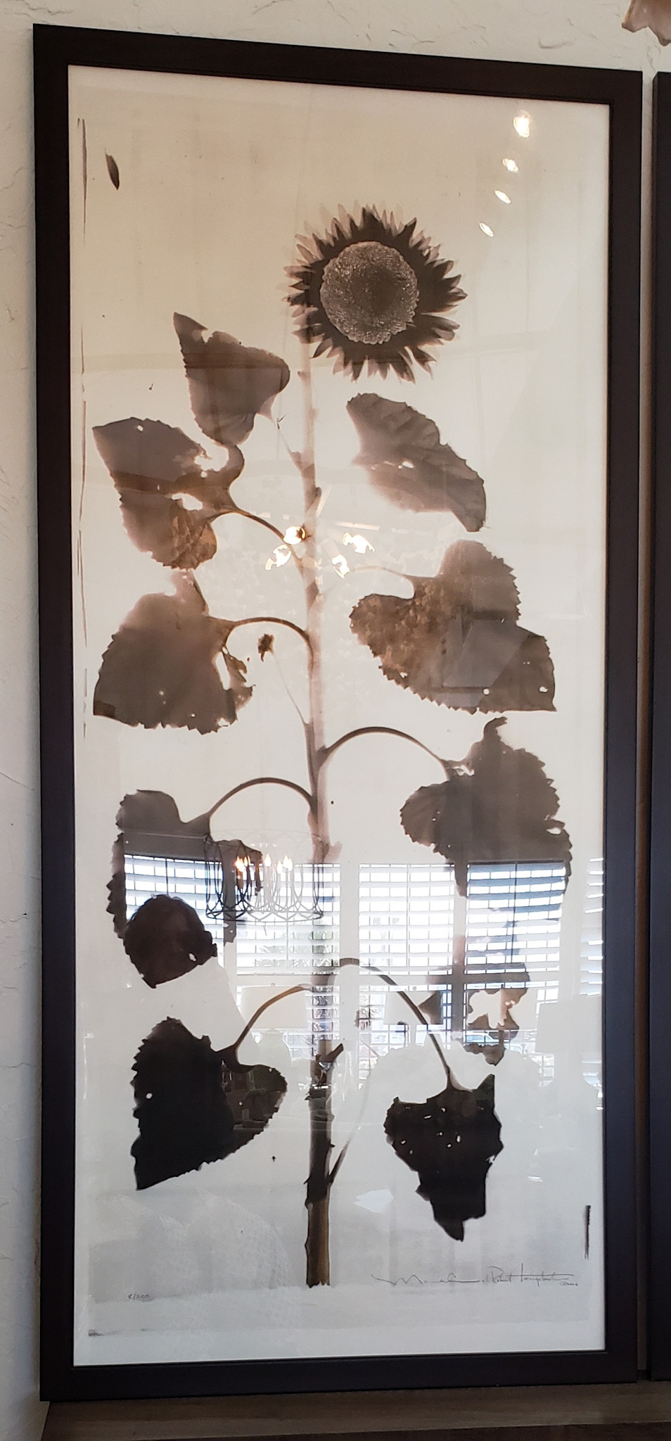 Single Sunflower 33''x 72"