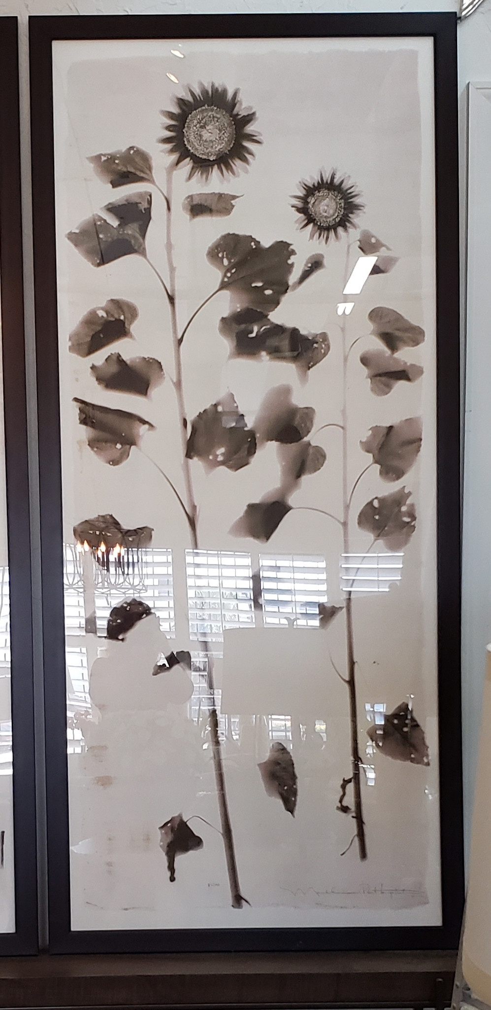 Single Sunflowers 33" x 72"