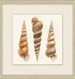 Watercolor Shell Collection 12 - 22"w x 22"h