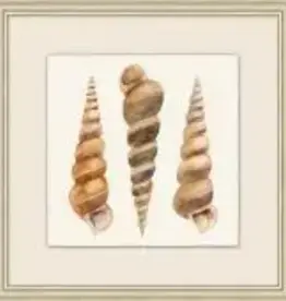 Watercolor Shell Collection 12 - 22"w x 22"h