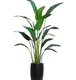 7" Palm TravlerWhite Smooth Pot
