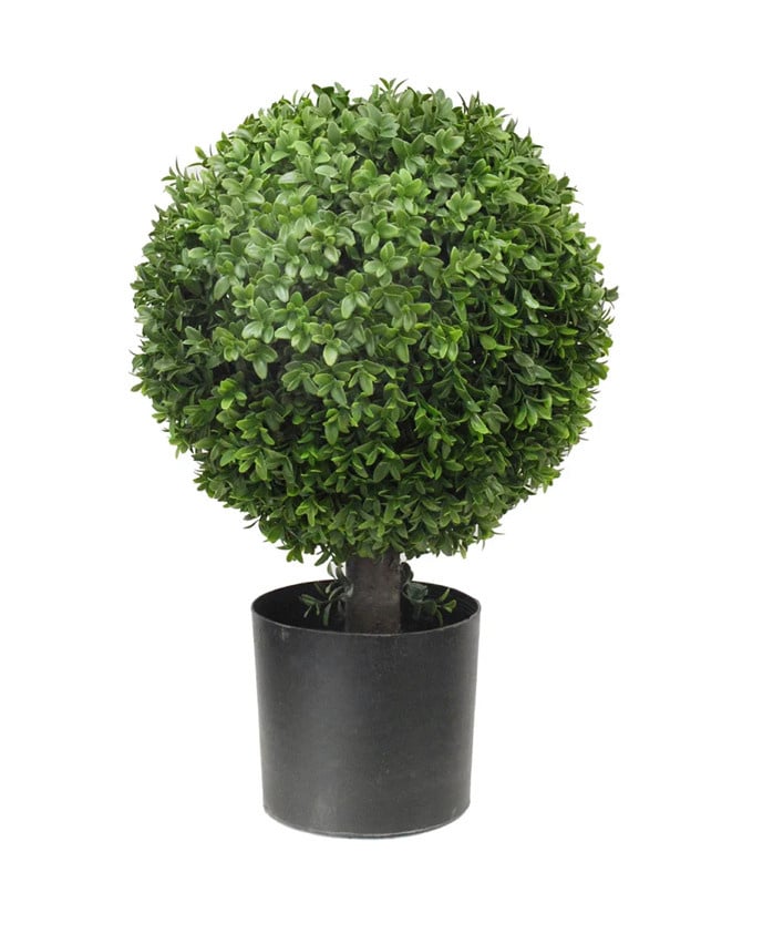 Boxwood Ball (14”DIA) Tree 20”H