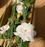 Gardenia Stems White 26"
