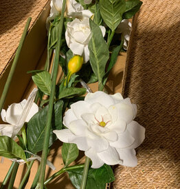 Gardenia Stems White 26"