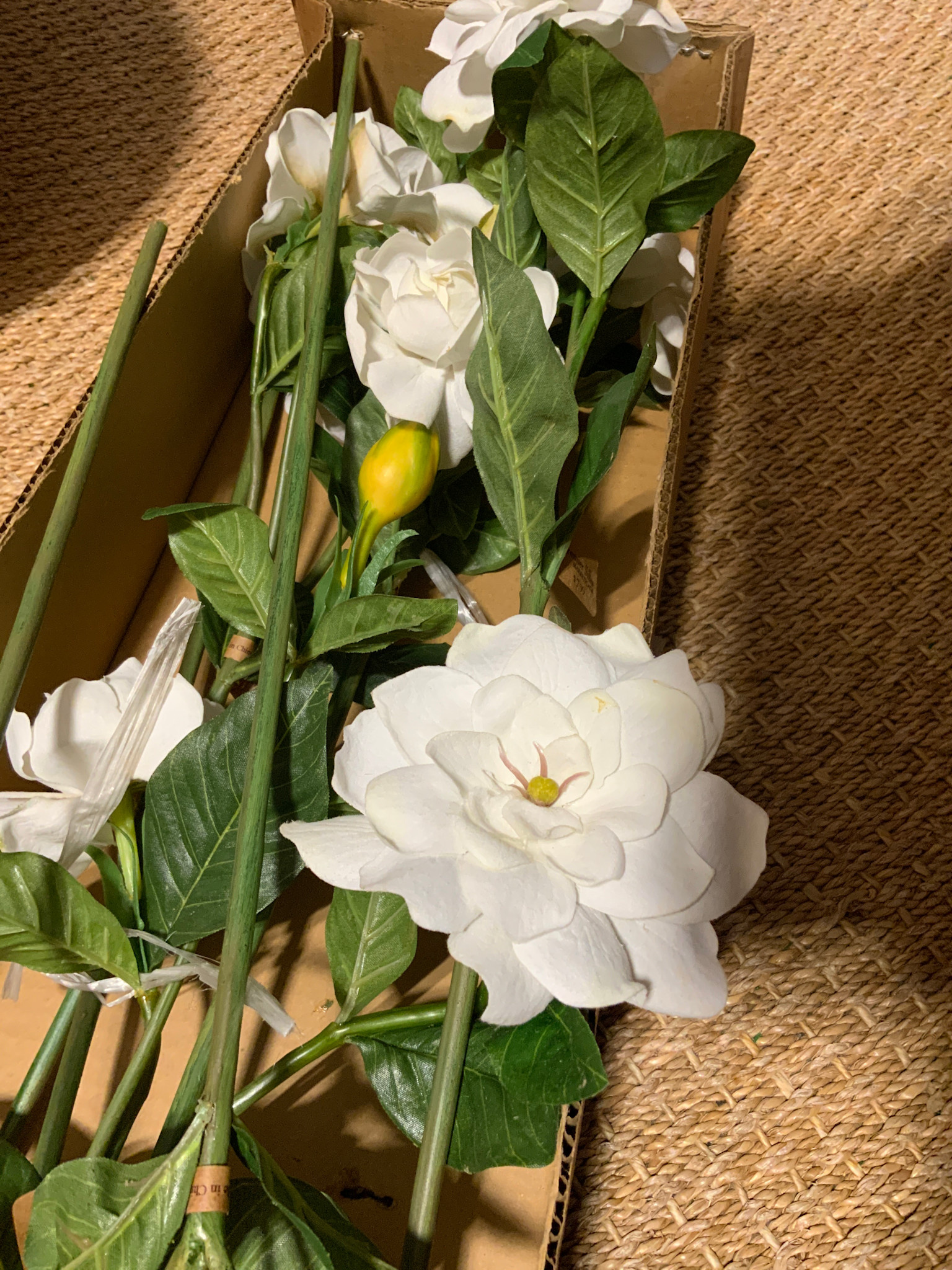 Gardenia Stems White 26"