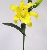 Elegance Tiger Lily Spray 30"  (Yellow)