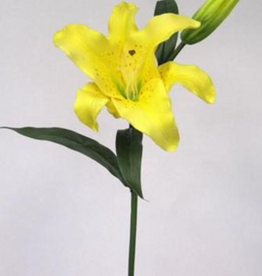 Elegance Tiger Lily Spray 30"  (Yellow)