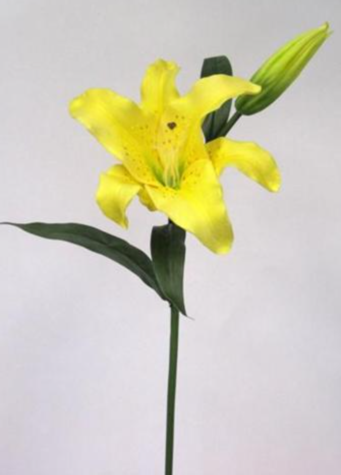 Elegance Tiger Lily Spray 30"  (Yellow)