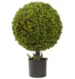 27” Boxwood Ball Topiary