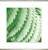 Exotic Leaves 2 17"x17"