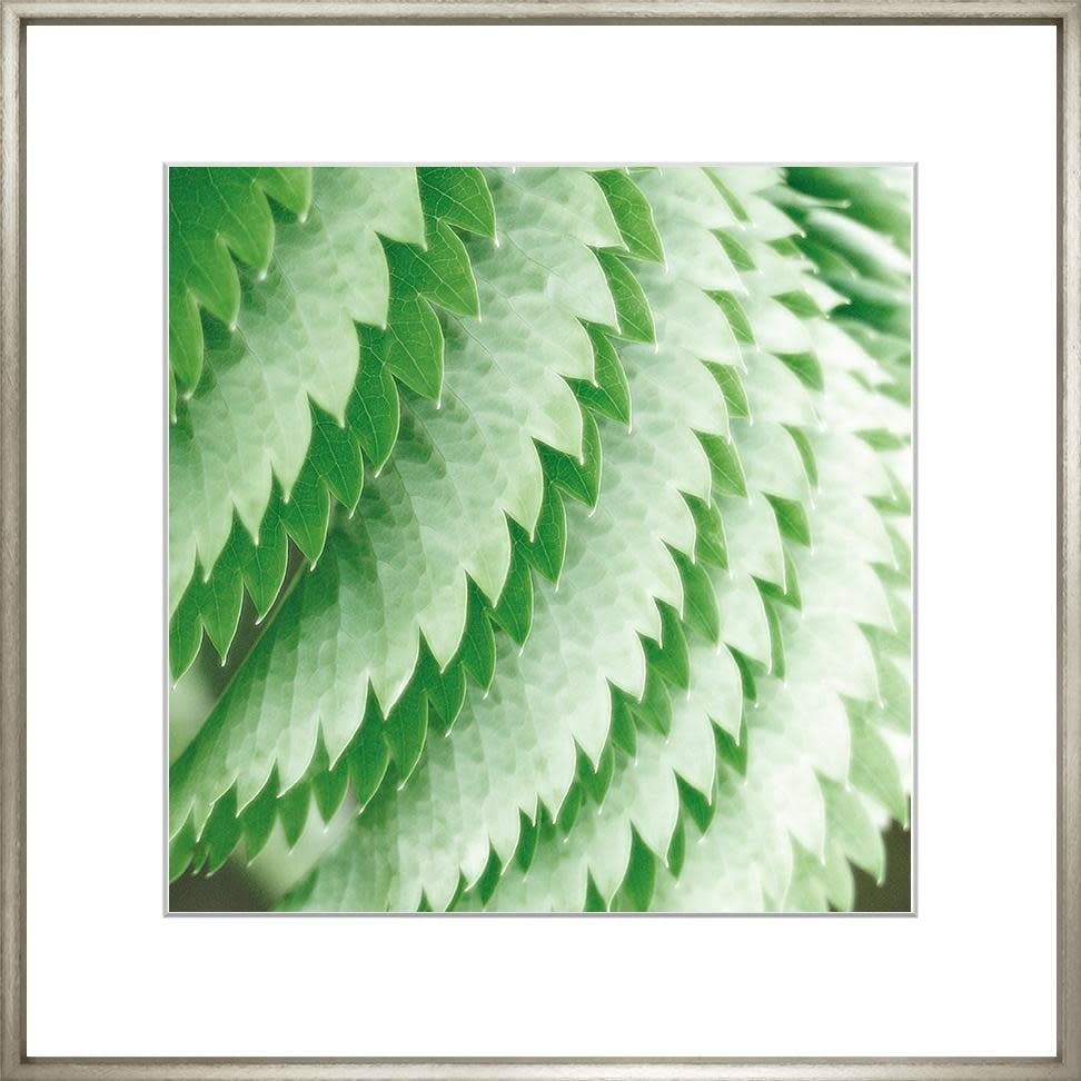 Exotic Leaves 2 17"x17"