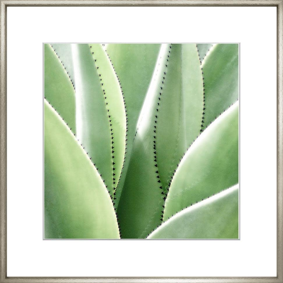 Exotic Leaves 5 17"x17"